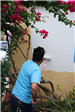 Photos of volunteers painting houses at NET event