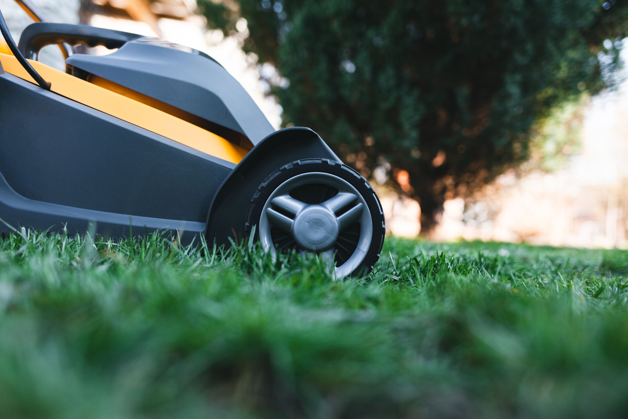 Electric lawn mower mowing grass